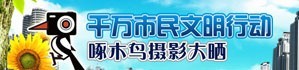 �綯����������